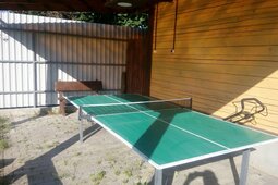 Настольный теннис